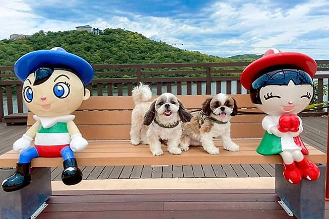 フォトスポットで写真映え