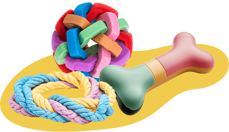 ランチタイム♪