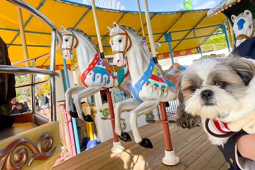 アトラクションを体験！